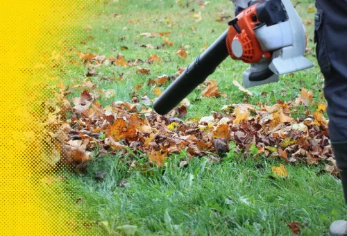 Article - Leaf Blowers: Gasoline, Electric and Battery-Powered – which one to choose?