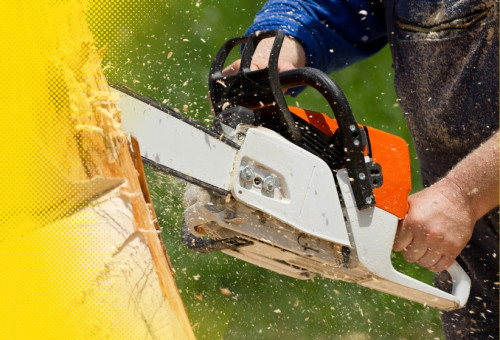 Gasoline Chainsaws - Characteristics and Applications