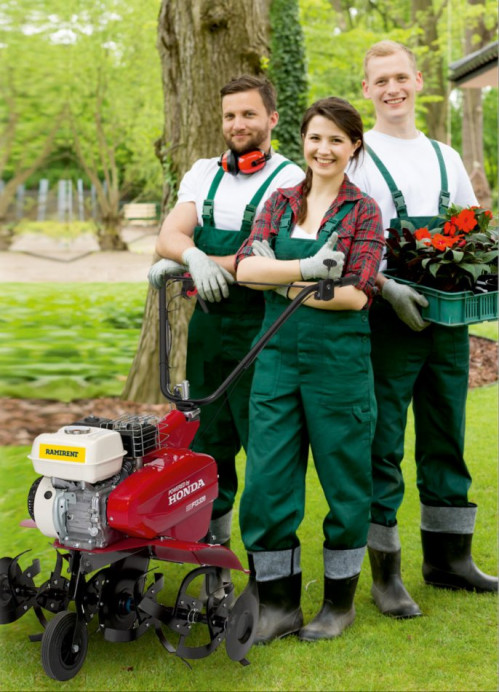 Transplanting large trees